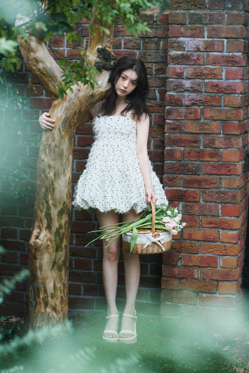 ドットツイードバールーンセットアップ