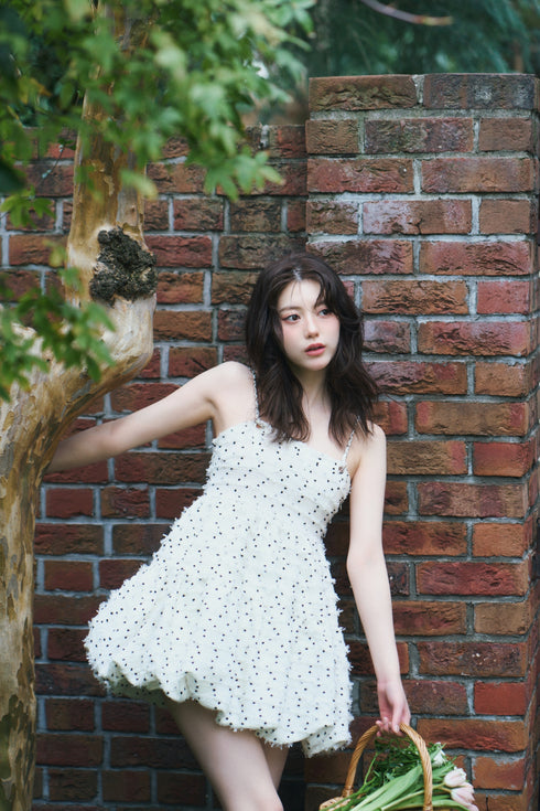 ドットツイードバールーンセットアップ